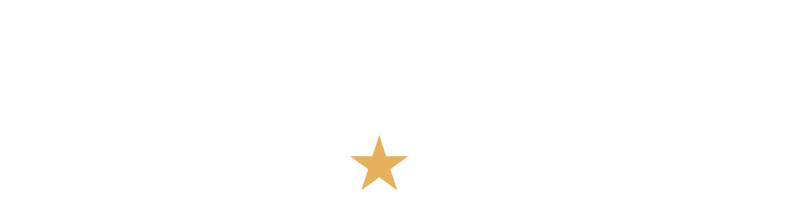 FEG-STACKED-LOGO-2025